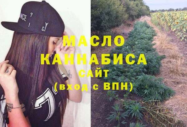 скорость Гусев