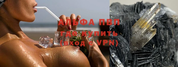 дживик Ельня
